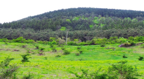 세미오름(삼의양오름)