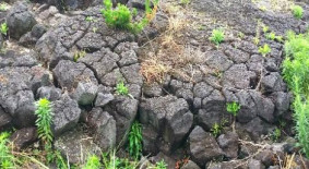 김녕.월정(지질)