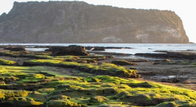 성산.오조(지질)