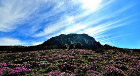 한라산(자연유산)