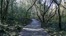 제주곶자왈도립공원