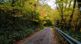 천아숲길 천아계곡