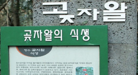 청수곶자왈