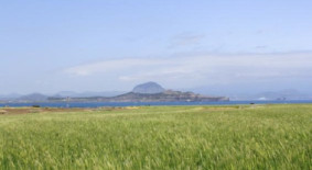 가파도 청보리 축제