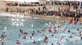 서귀포 국제펭귄수영대회