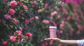 마노르블랑 동백축제