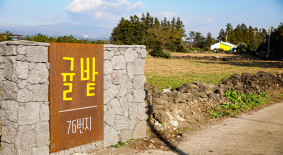 낭만농장 귤밭76번지